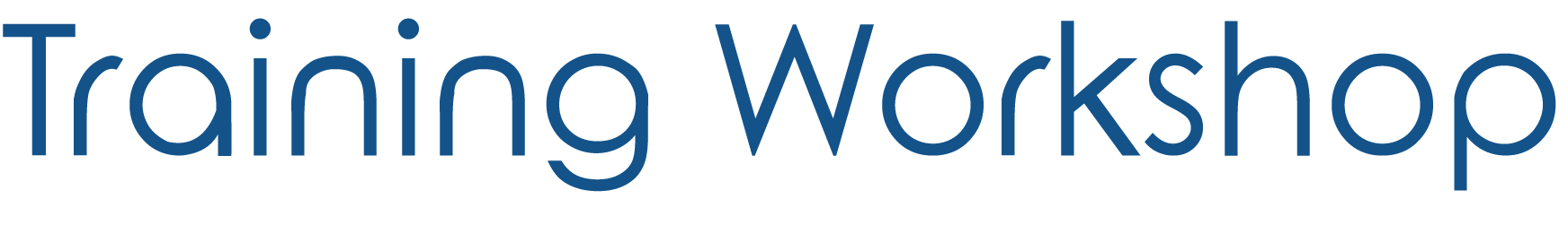 Training Workshop